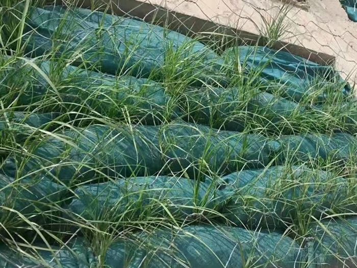 护坡草籽生态袋